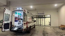 Zonguldak'ta Yılan Saldırısı