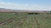 Ankara'da Eğitim Helikopteri Düştü