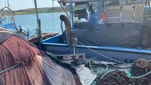 Didim'de Balık Ağları Denetlendi