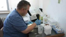 Kastamonu'daki Dev Çekirgeler Hakkında Bilgiler