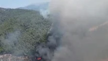 Kuyucak’ta Orman Yangını Çıktı