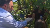 Siirt'te Özel Bireyler ve Çocuklar Buluştu