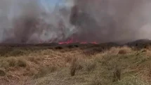 Denizli'de Tarlada Yangın Çıktı