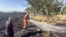 Eskişehir'de Anız Yangını Kontrol Altına Alındı