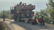 Muğla'da Orman Yangını Mücadelesi