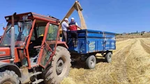 Kütahya’da yerli ve milli arpa çeşitlerinin hasadı yapıldı