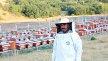 Abadan Bal Ormanı'nda Bal Hasadı Başladı