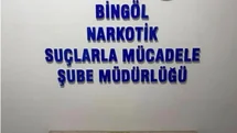 Bingöl'de 600 Fişek Ele Geçirildi