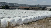 Burdur'da Şeker Fabrikasına Ceza Uygulandı