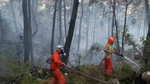Muğla'da Orman Yangınına Destek Ekipleri Gönderildi