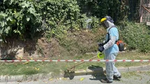 Beykoz'da Yollar Uzayan Otlarla Kaplandı