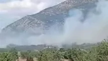 Denizli Acıpayam'daki Orman Yangını Kontrol Altında
