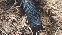 Elazığ'da Köstebek Yanıltması