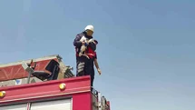 Sivas'ta Baygın Leylek Kurtarıldı