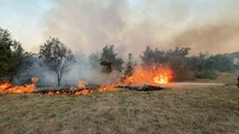 Muğla'da Tarım Alanında Yangın Kontrol Altına Alındı