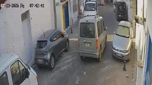 Muğla'da Sokak Kedilerine Araç Çarpması
