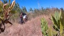 Antalya'da Motosiklet Hırsızlığı Çözüldü