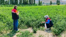 Afyonkarahisar'da Tarım Arazileri Korunuyor