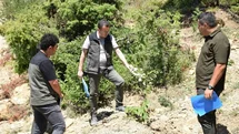 Kahramanmaraş'ta Ağaçlandırma Çalışmaları Devam Ediyor