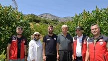 Kahramanmaraş'ta Sumak Fidanları Verime Geçti