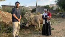 Ayni Teyzeye Yeni İnek Destek Oldu
