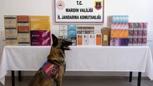 Mardin’de kaçak tütün operasyonunda 2 gözaltı