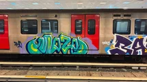 Ankara'da Metro Vagonlarına Grafiti Yapıldı
