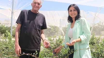 İzmir'de Çiftlik Kurma Hayali Gerçekleşti