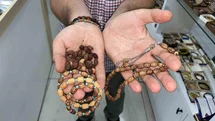 Sivas’ta Zeytin Çekirdeği İle Geri Dönüşüm
