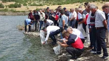 Kütahya'da 123 Bin Yavru Sazan Salındı