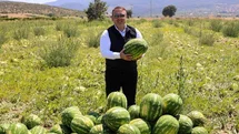 Bilecik'te Karpuz Hasadı Beklentisi