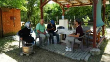 Kastamonu'da Ayı Panik Yarattı
