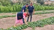 Afyonkarahisar’da Barbunya ve Salatalık Kontrolleri