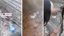 Erdemli’de Tarihi Mezarlıkta 'büyü' İddiası: Lahit Yarığında Ceviz Kabukları ve Boncuklar Bulundu