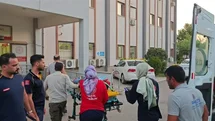Adıyaman'da Kamyonet Devrildi, 6 Yaralı