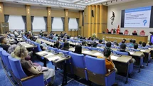 Kayseri'de Aile Eğitimi Semineri Düzenlendi