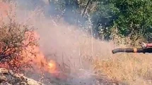 Diyarbakır’da örtü ve orman yangını