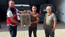 Kastamonu'da Yaralı Leylek Koruma Altına Alındı