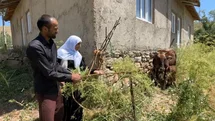 Hakkari'de İneğe Yardım Eli Uzandı