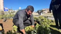 Karabük'te Yeşil Alanlar Güçleniyor