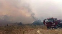 Muğla Menteşe'de Orman Yangını Çıktı