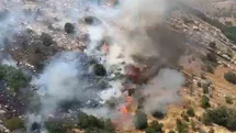 Diyarbakır'daki Orman Yangınları Kontrol Altına Alındı