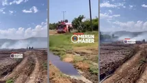Erdemli Elvanlı - Hacıhalilarpaç Yolu Yakınlarında Yangın: Limon Ağaçları Zarar Gördü