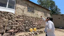 Yüksekova’da yılanlar bir evin kabusu oldu