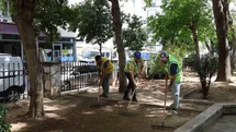 Aydın'da Gençlik Parkı Bakım Çalışması