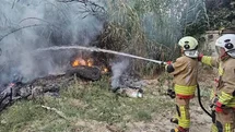 Defne'de Sazlık Yangını Kontrol Altında