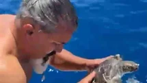 Alanya'da Caretta Caretta Kurtarıldı
