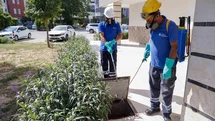 Antalya'da Vektörle Mücadele Devam Ediyor