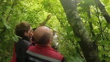 Sinop'ta Biyolojik Mücadele Uygulaması