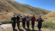 Hakkari'de Berivanların Zorlu Süt Mesaisi